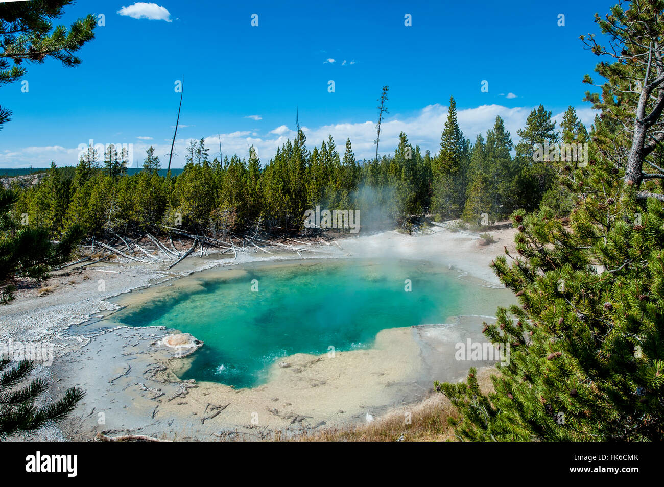 Emerald Spring in Norris Geyser Basin, Yellowstone National Park, UNESCO World Heritage Site, Wyoming, United States of America Stock Photo