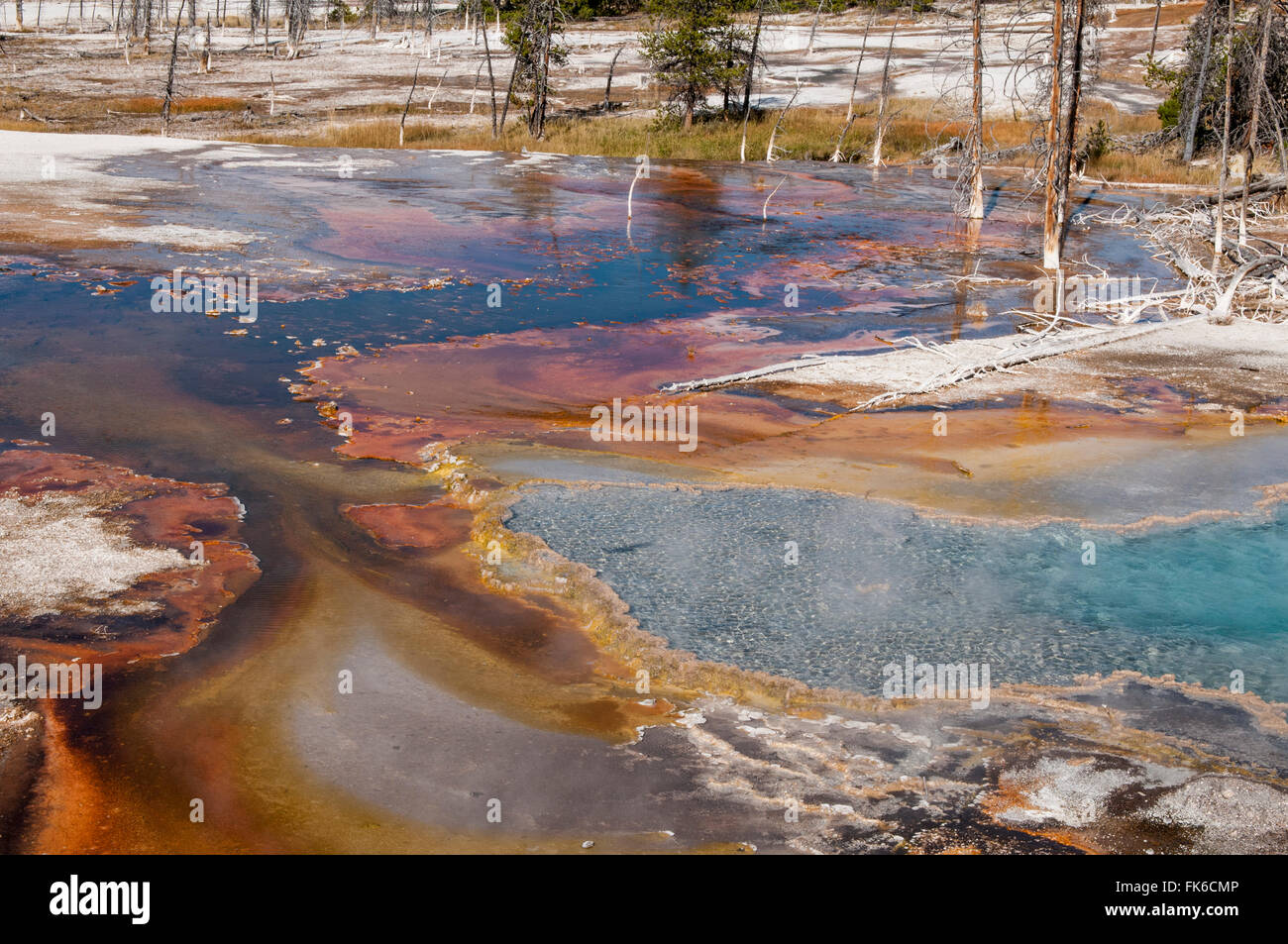 Firehole Spring, Yellowstone National Park, UNESCO World Heritage Site, Wyoming, United States of America, North America Stock Photo