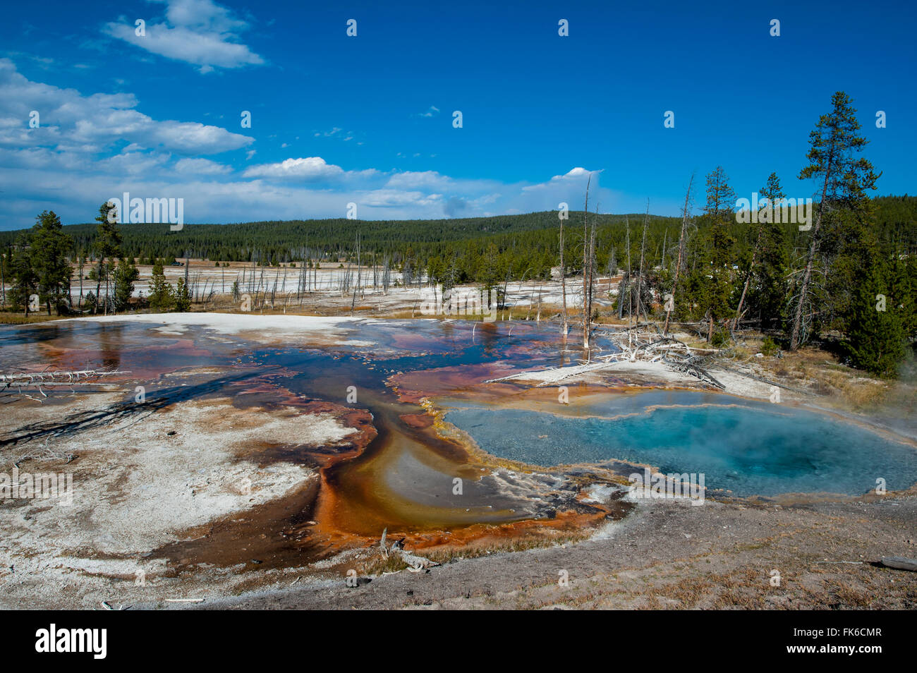 Firehole Spring, Yellowstone National Park, UNESCO World Heritage Site, Wyoming, United States of America, North America Stock Photo