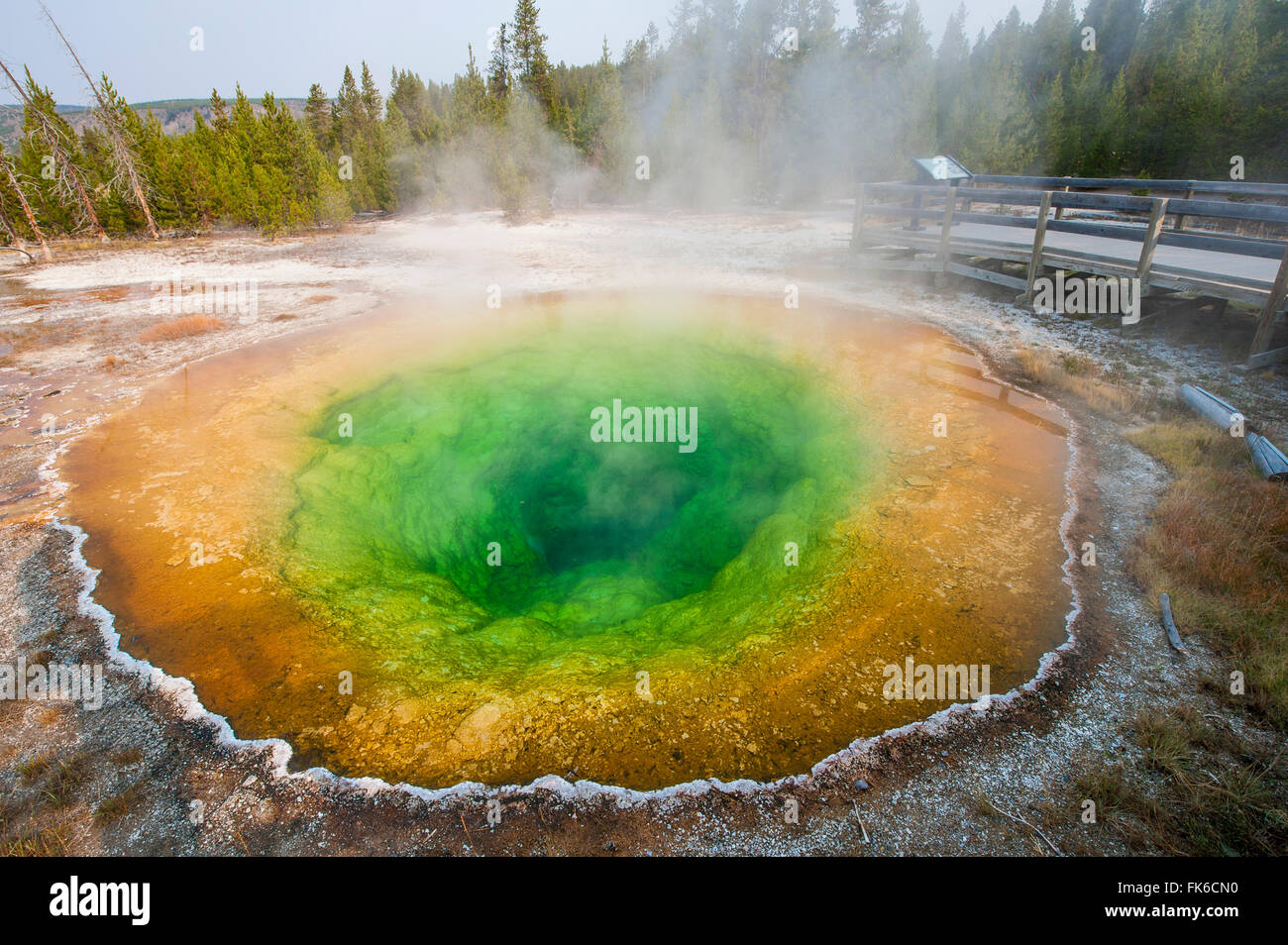 Morning Glory Pool in Upper Geyser Basin, Yellowstone National Park, UNESCO, Wyoming, United States of America Stock Photo