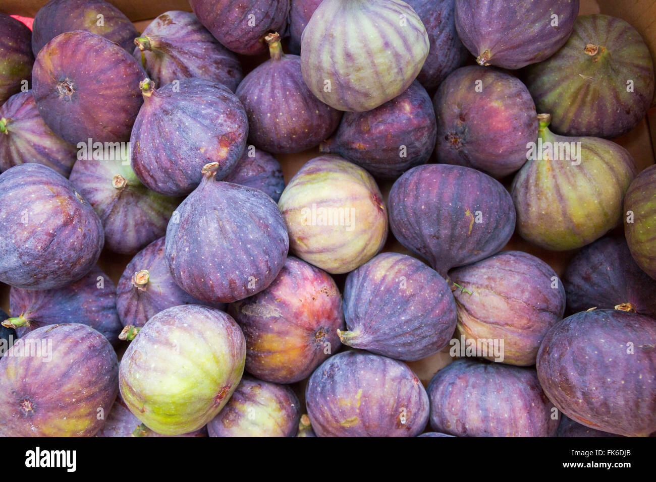 Figs for sale in a box Stock Photo Alamy