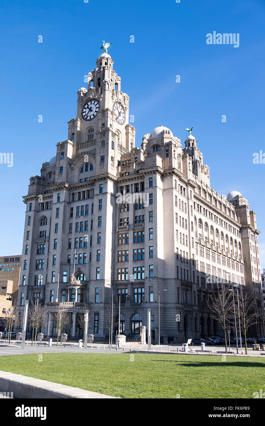The Liver Building, Liverpool Albert Docks on a sunny day. Stock Photo