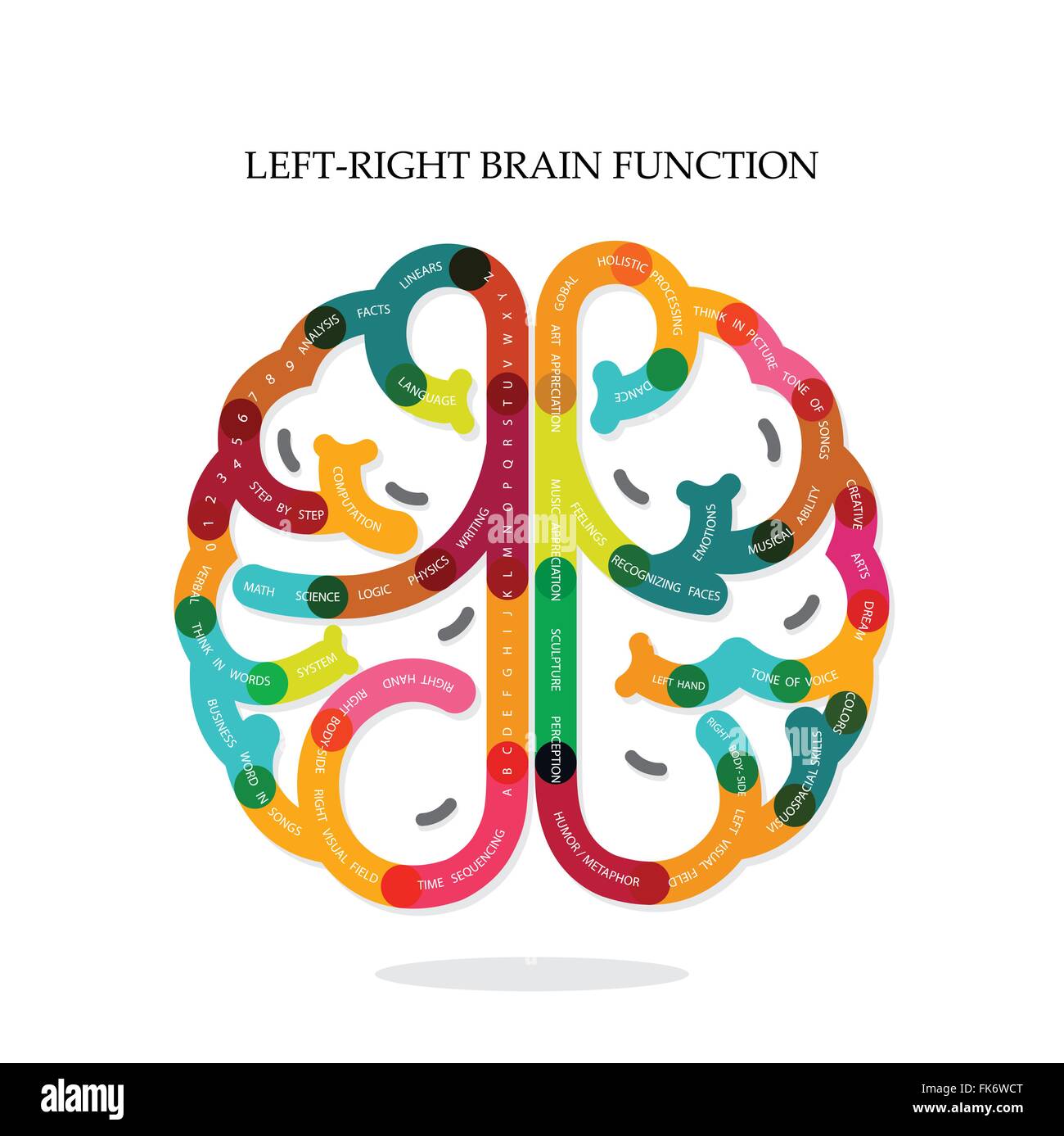 Creative infographics left and right brain function ideas on background,design for poster,flyer,cover,brochure,diagram or presen Stock Vector