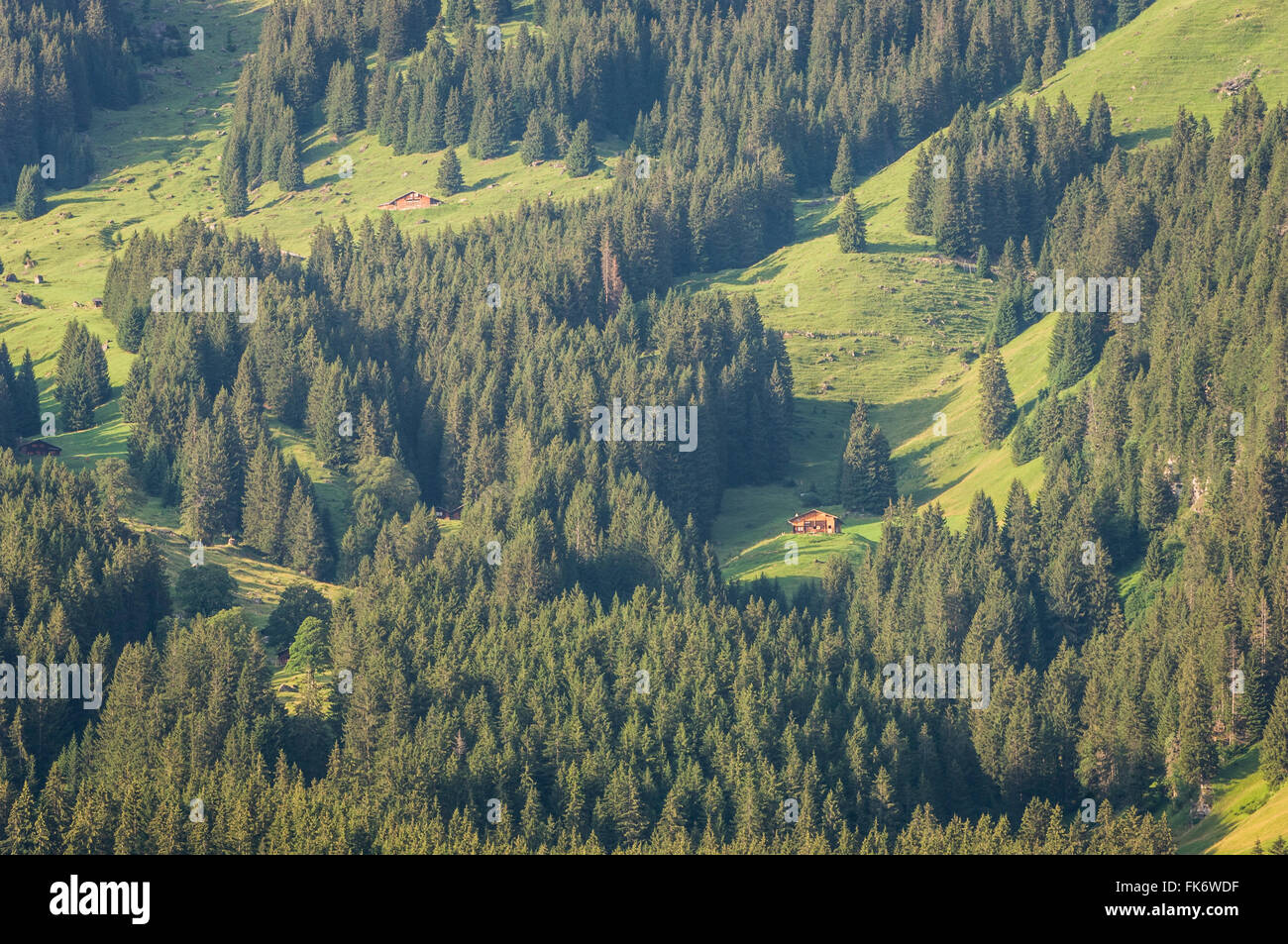 Two Swiss chalets, Grindelwald, Jungfrau Region, Switzerland, Europe