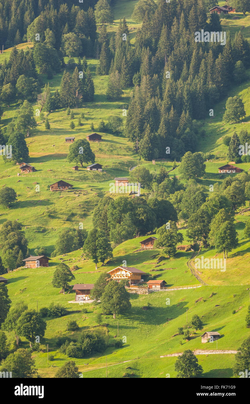 Swiss chalets, Grindelwald, Jungfrau Region, Switzerland, Europe Stock