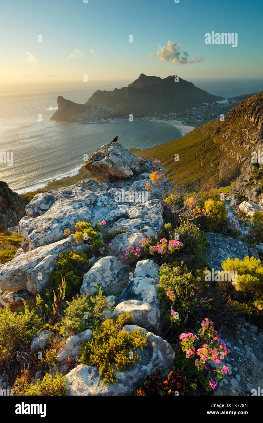 Hout Bay, from Table Mountain National Park, Western Cape, South Africa Stock Photo