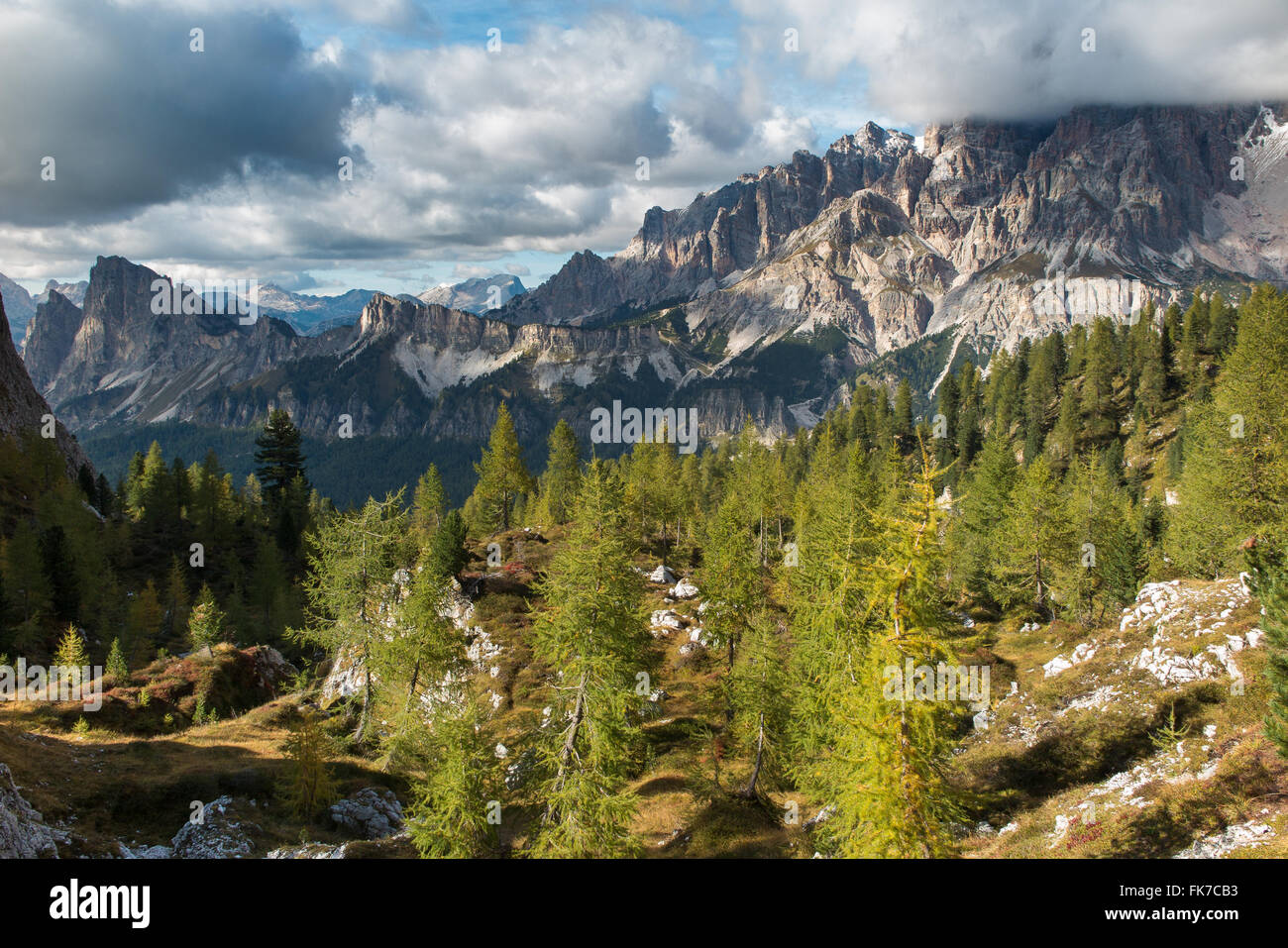 views over Cristallo and the Dolomite Mountains from Ciadin del Luodo,  Belluno Province, Veneto, Italy Stock Photo