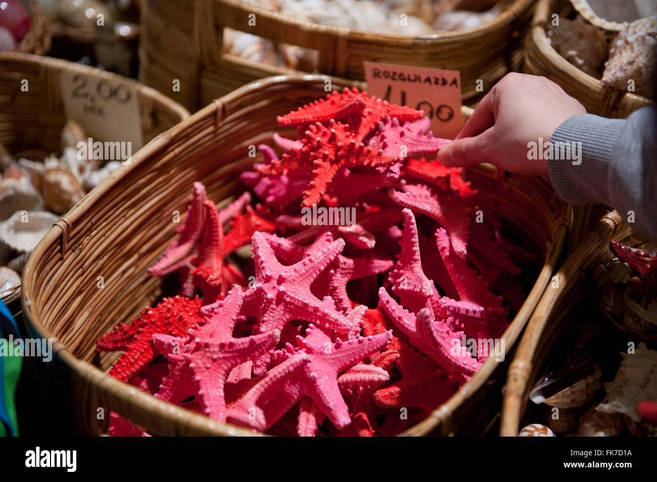 Buying red starfish sea animals lying in baskets for sale at Warsaw Mineral Expo 2016, 5th March, VI edition event in the PKiN Stock Photo