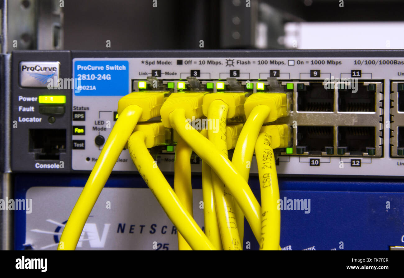8 yellow ethernet cables plugged into server ports Stock Photo