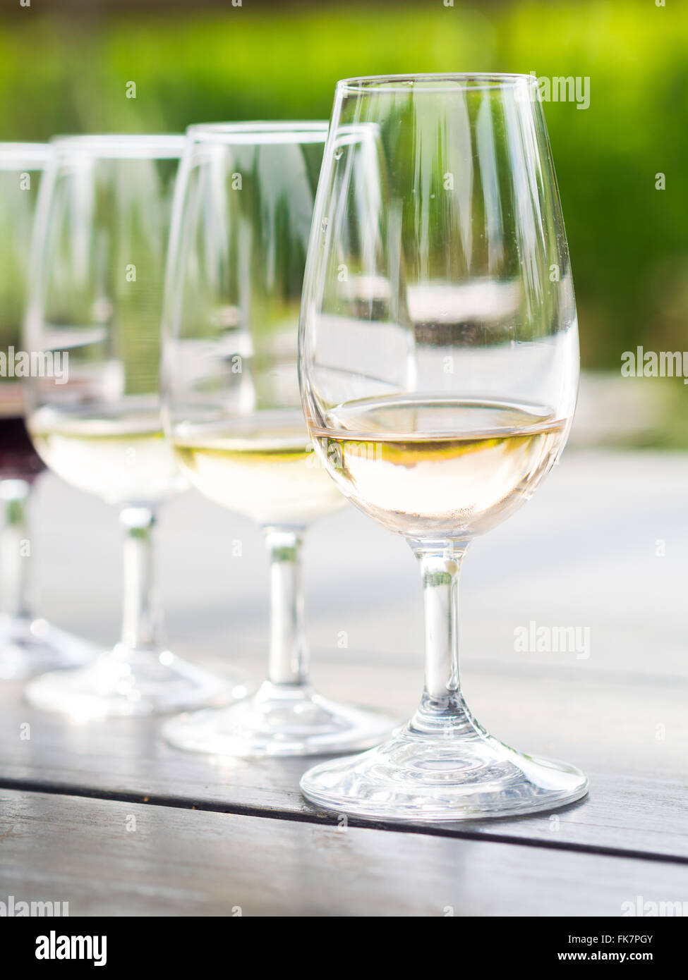 Wine tasting in Stellenbosch, South Africa. From the front: blanc de noir, chardonnay, sauvignon blanc, merlot. Stock Photo