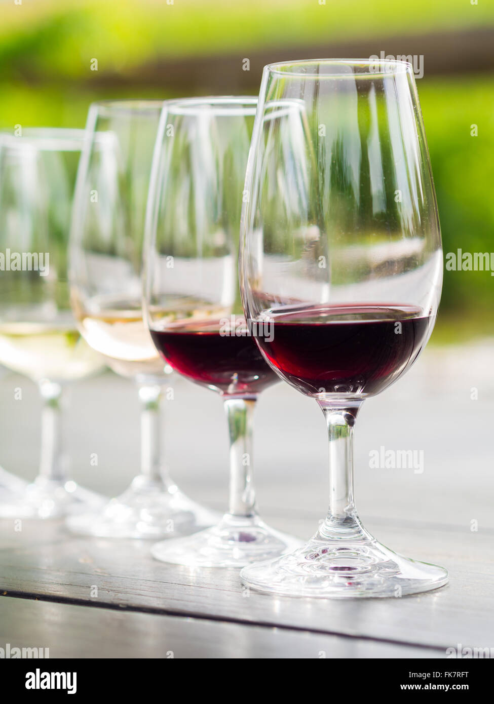 Wine tasting in Stellenbosch, South Africa. From the front: cabernet sauvignon, merlot, blanc de noir, chardonnay. Stock Photo