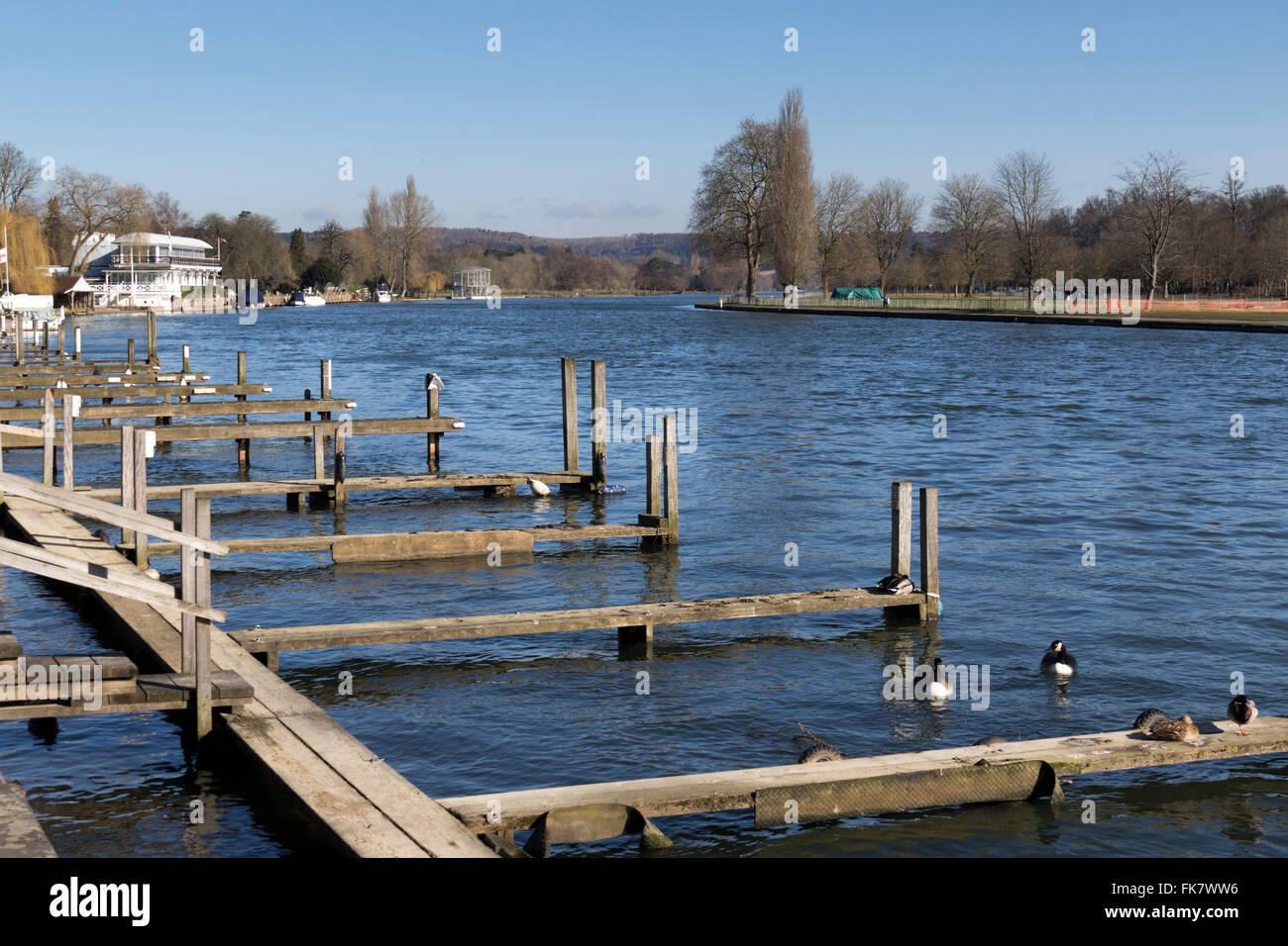 Floating river moorings at HenleyonThames Stock Photo Alamy