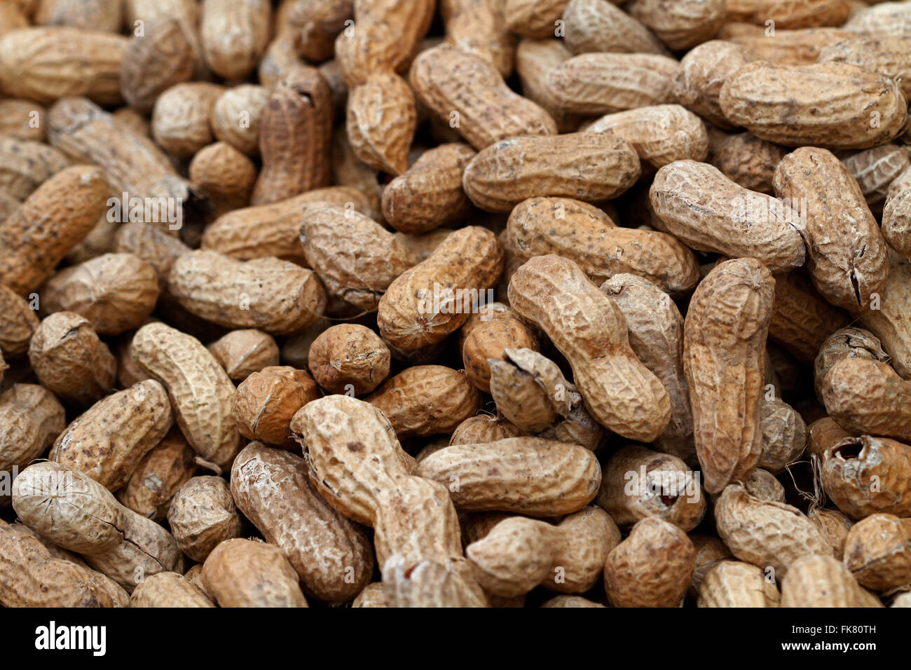 Peanuts Stock Photo Alamy