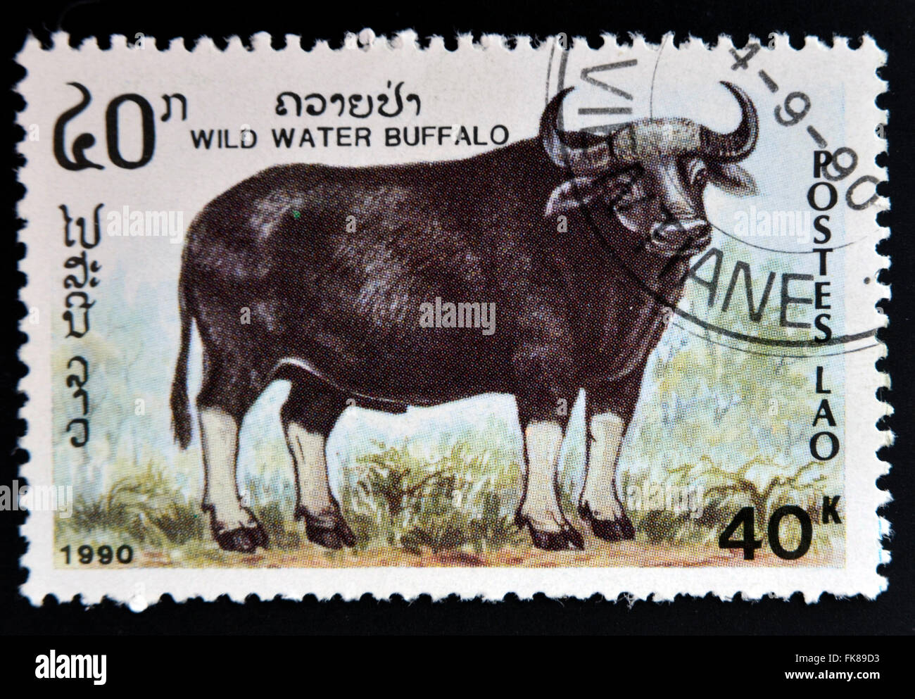 LAOS - CIRCA 1990: A stamp printed in Laos shows wild water buffalo, circa 1990 Stock Photo