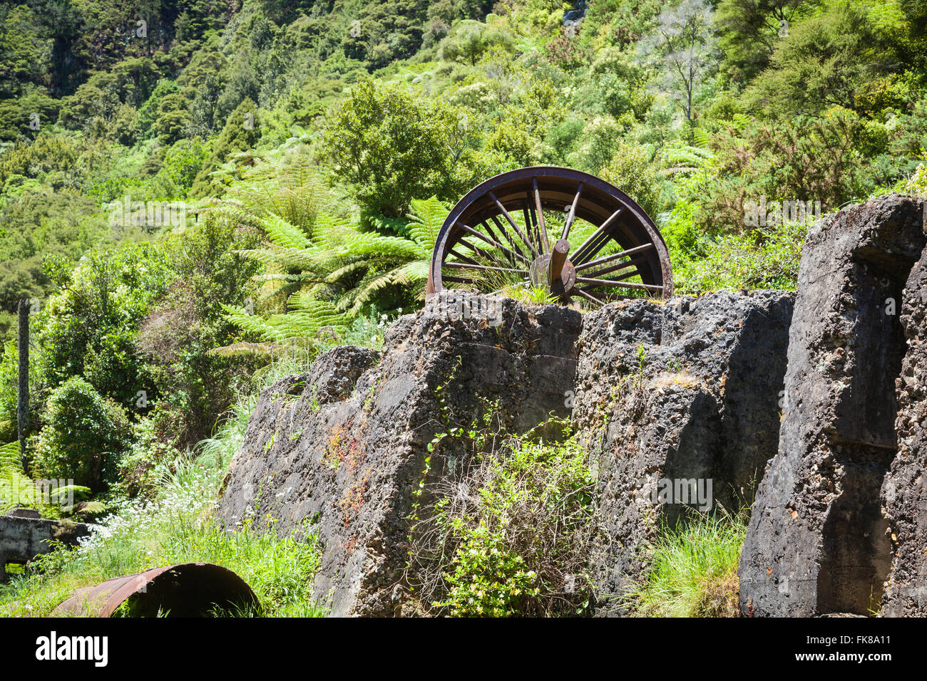 New Zealand Gold Rush High Resolution Stock Photography and Images Alamy