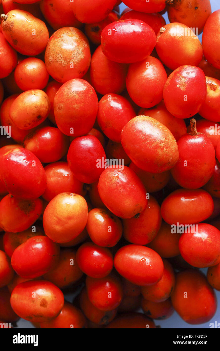 How to prune hires stock photography and images Alamy