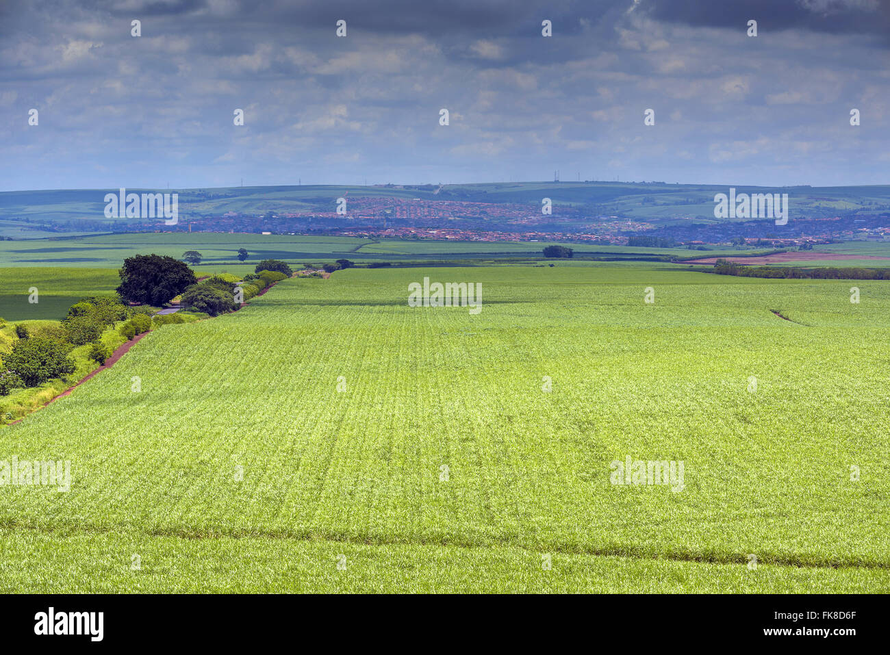 Highway through the planting of sugarcane with urban area to the bottom Stock Photo