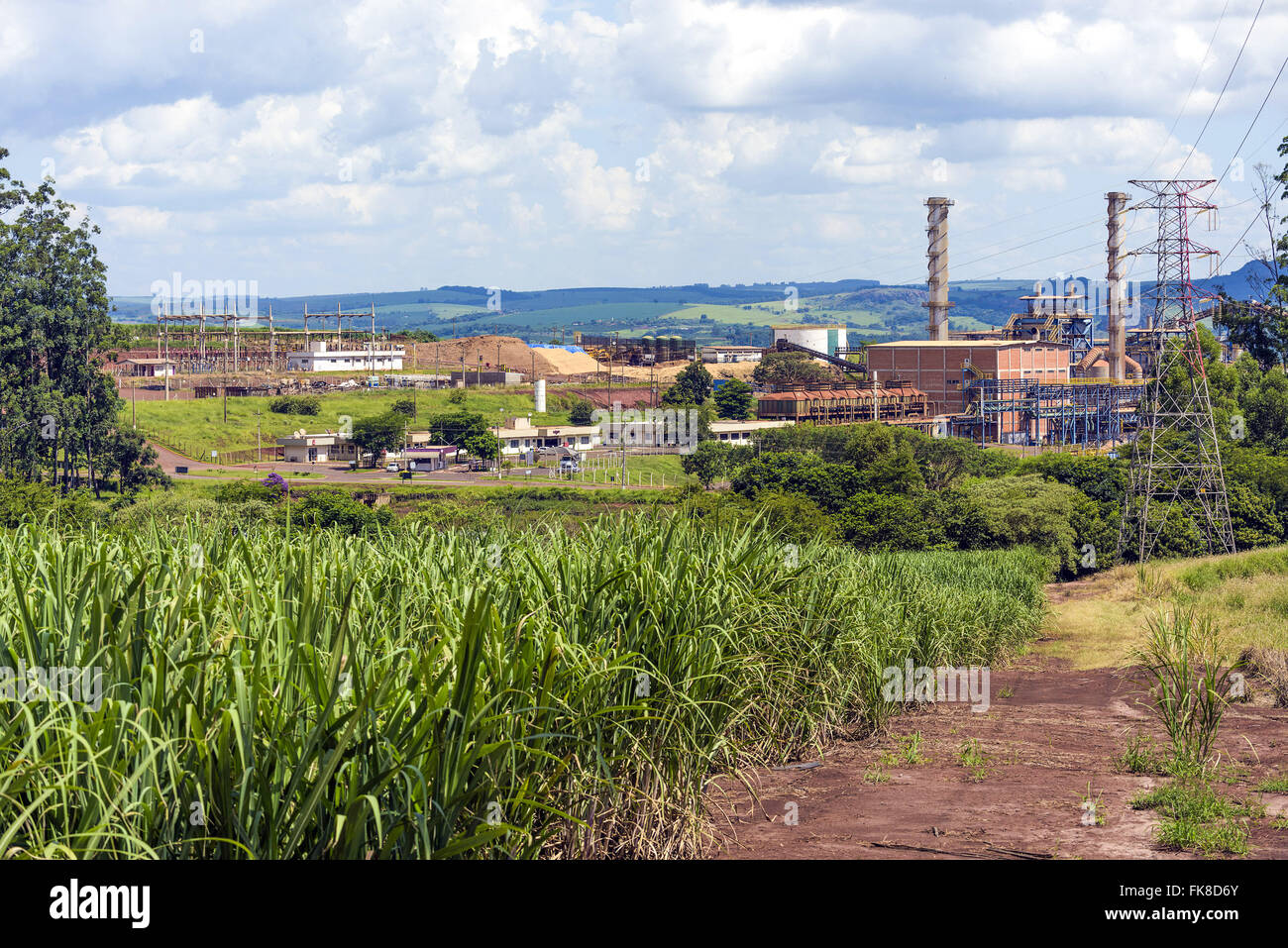 Sugarcane plantation with alcohol plant in the background Stock Photo