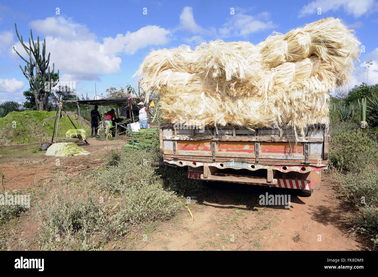 Truck carrying sisal field for mixers - called region Territory of Sisal Stock Photo