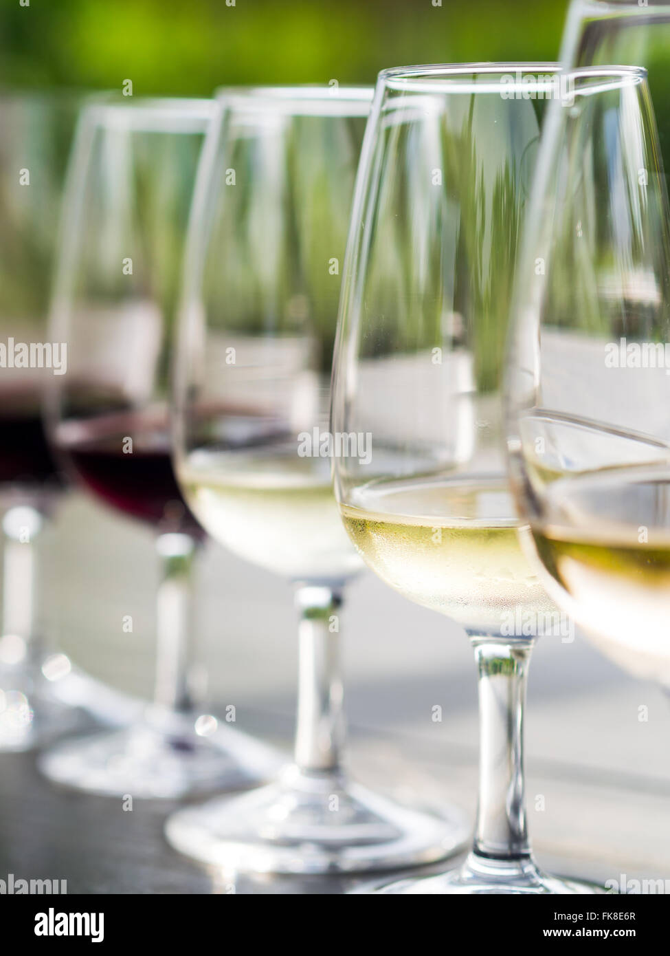 Wine tasting in South Africa. From the front: blanc de noir, chardonnay, sauvignon blanc, merlot, cabernet sauvignon. Stock Photo