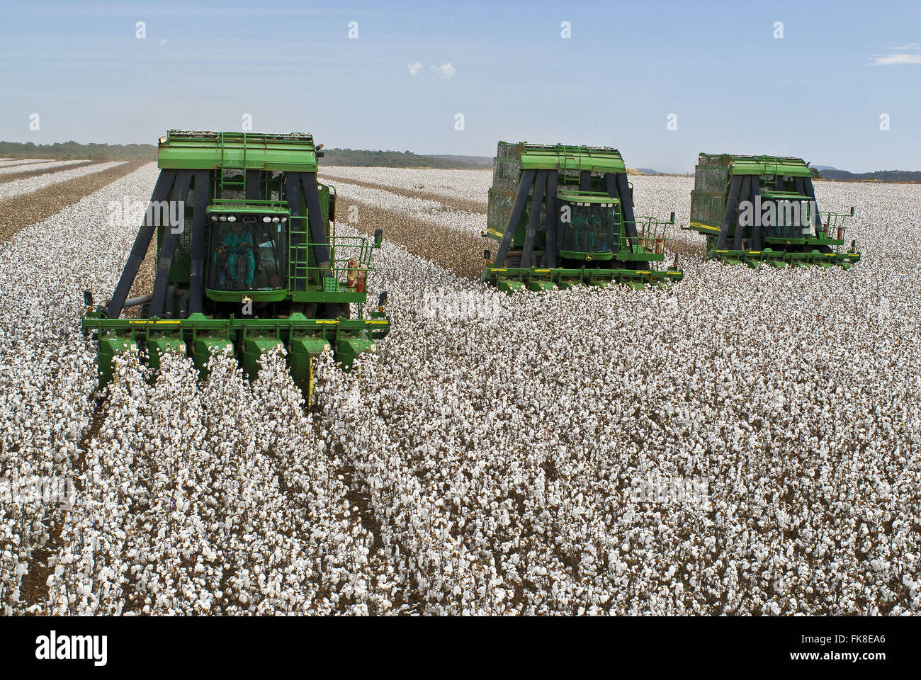 Costa Rica Mato Grosso do Sul fonte: c8.alamy.com