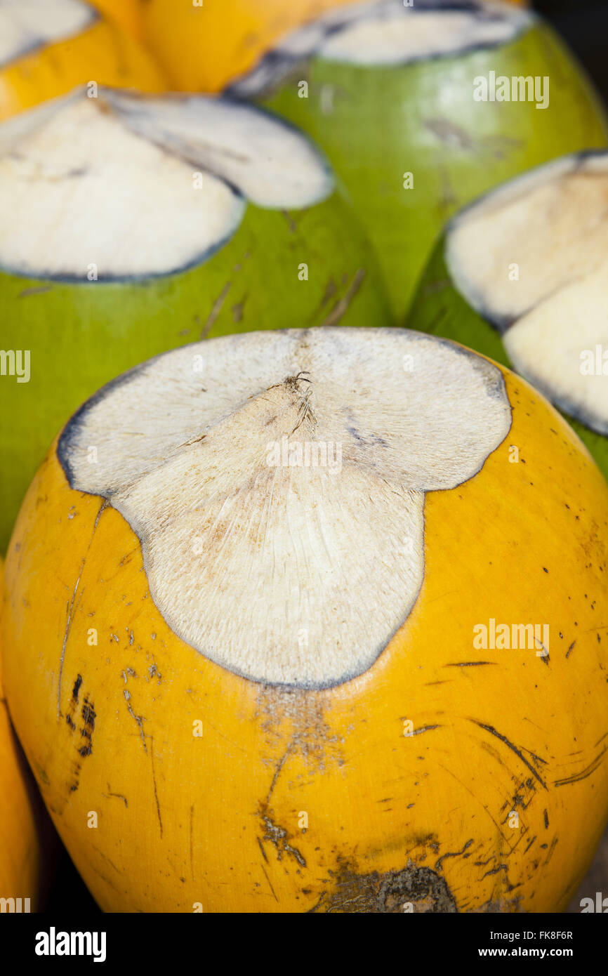 Yellow and green coconut Stock Photo