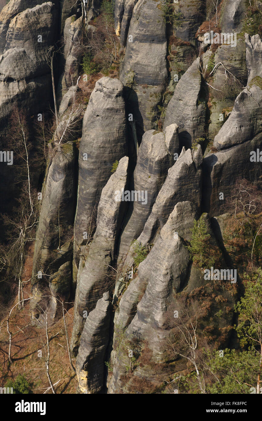 Saxony Switzerland, sandstone formations at Schrammsteine, Germany Stock Photo