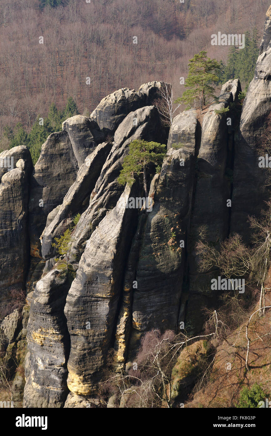 Saxony Switzerland, sandstone formations at Schrammsteine, Germany Stock Photo