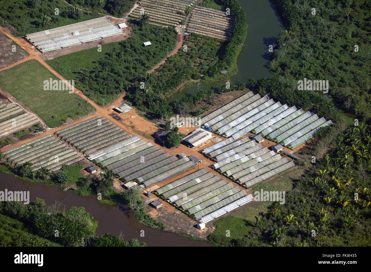 Aerial view of the horticultural production in the outskirts of town Stock Photo