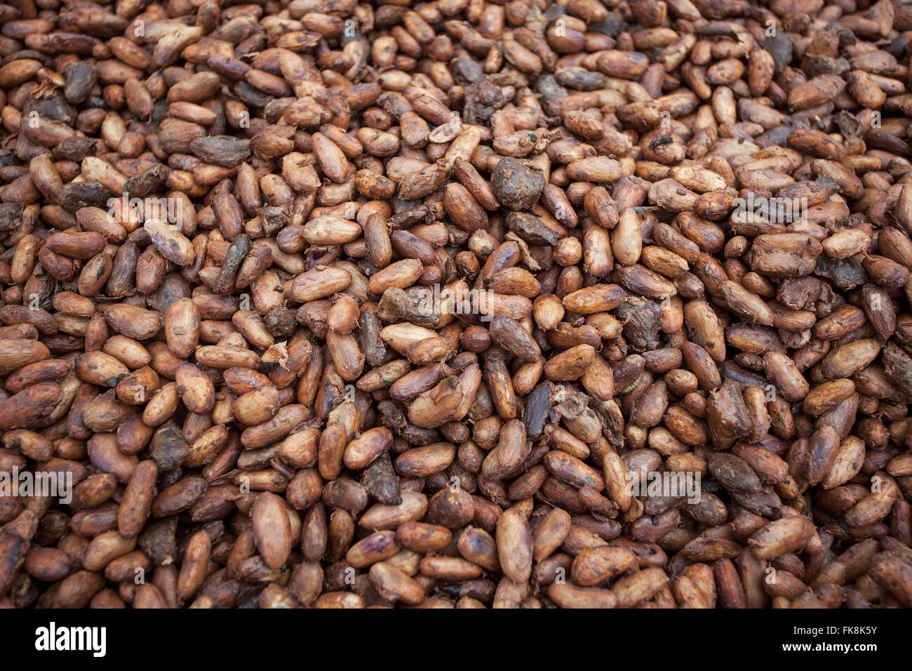 Latin america cocoa hires stock photography and images Alamy