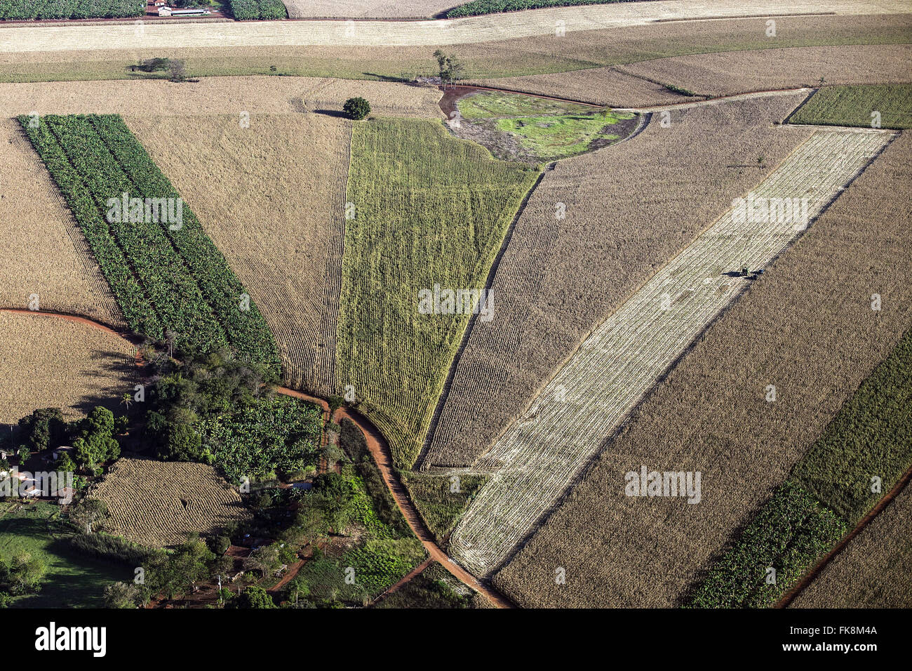 Aerial view of dirt road between the plantations of maize, sugar cane and bananas Stock Photo