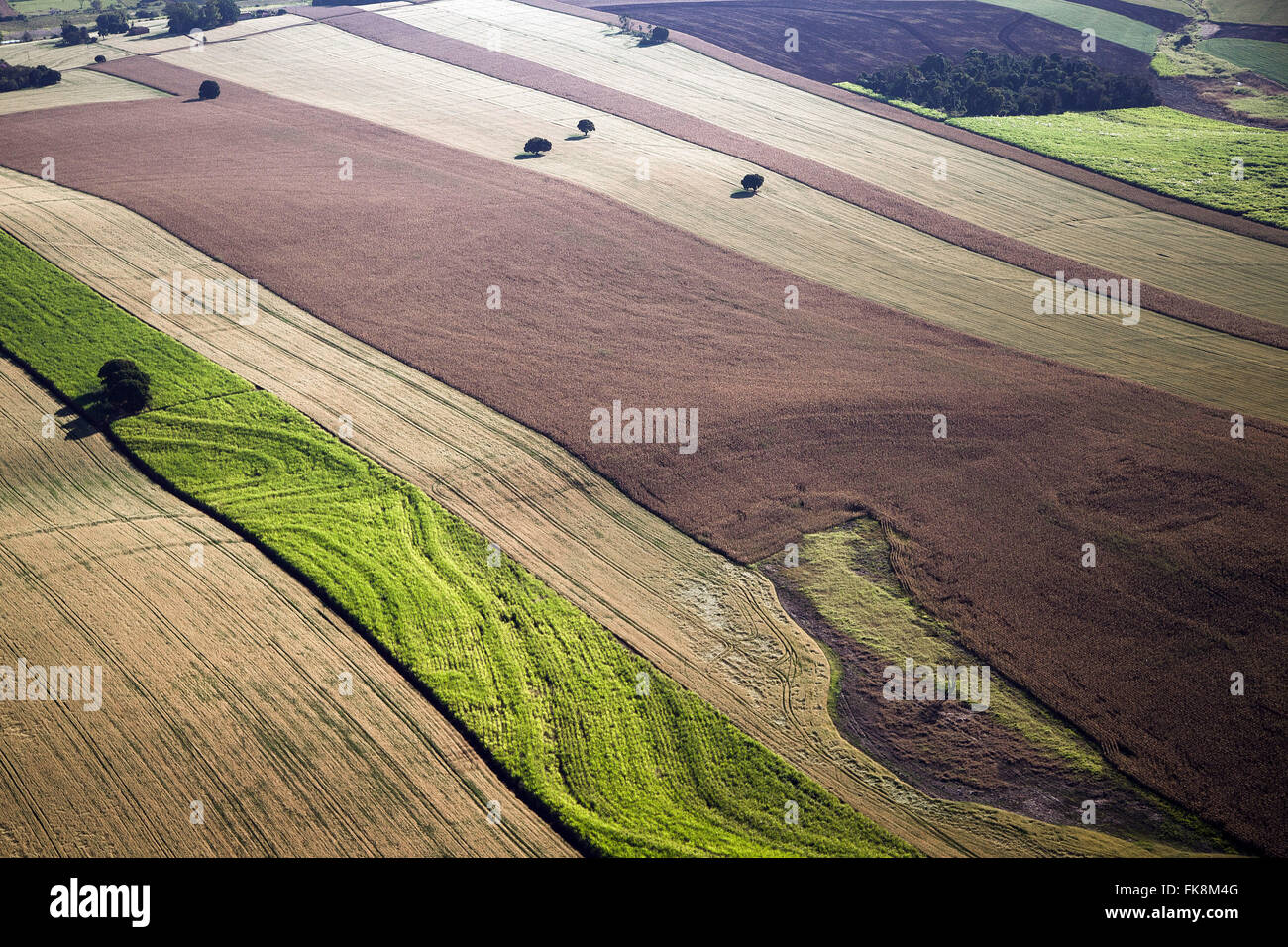Aerial view of plantations of wheat, sugar cane, corn and banana in the countryside Stock Photo
