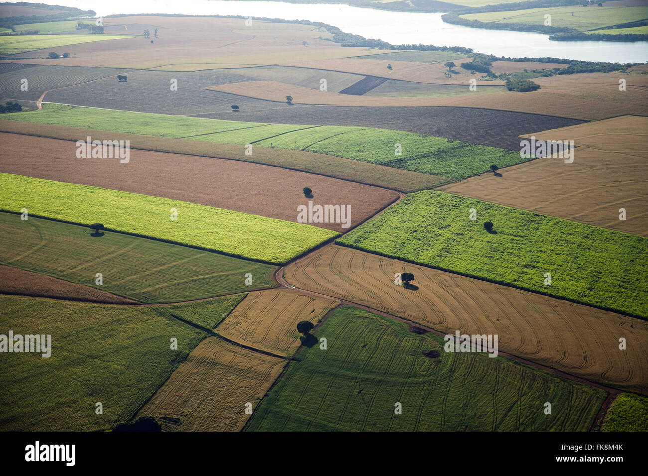 Aerial view of plantations of wheat, sugar cane and corn in the countryside Stock Photo