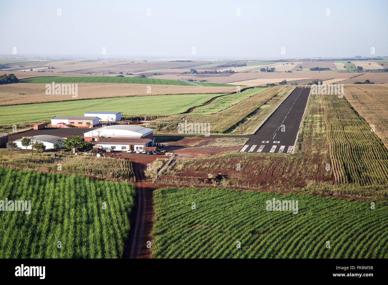 Aerial view of small track through the plantations of sugarcane and grains airport in rural Stock Photo