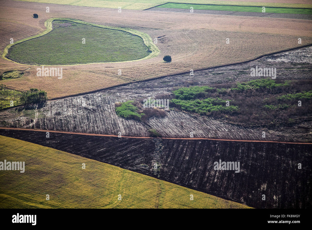 Aerial view of farm with planting corn, wheat and sugar cane Stock Photo