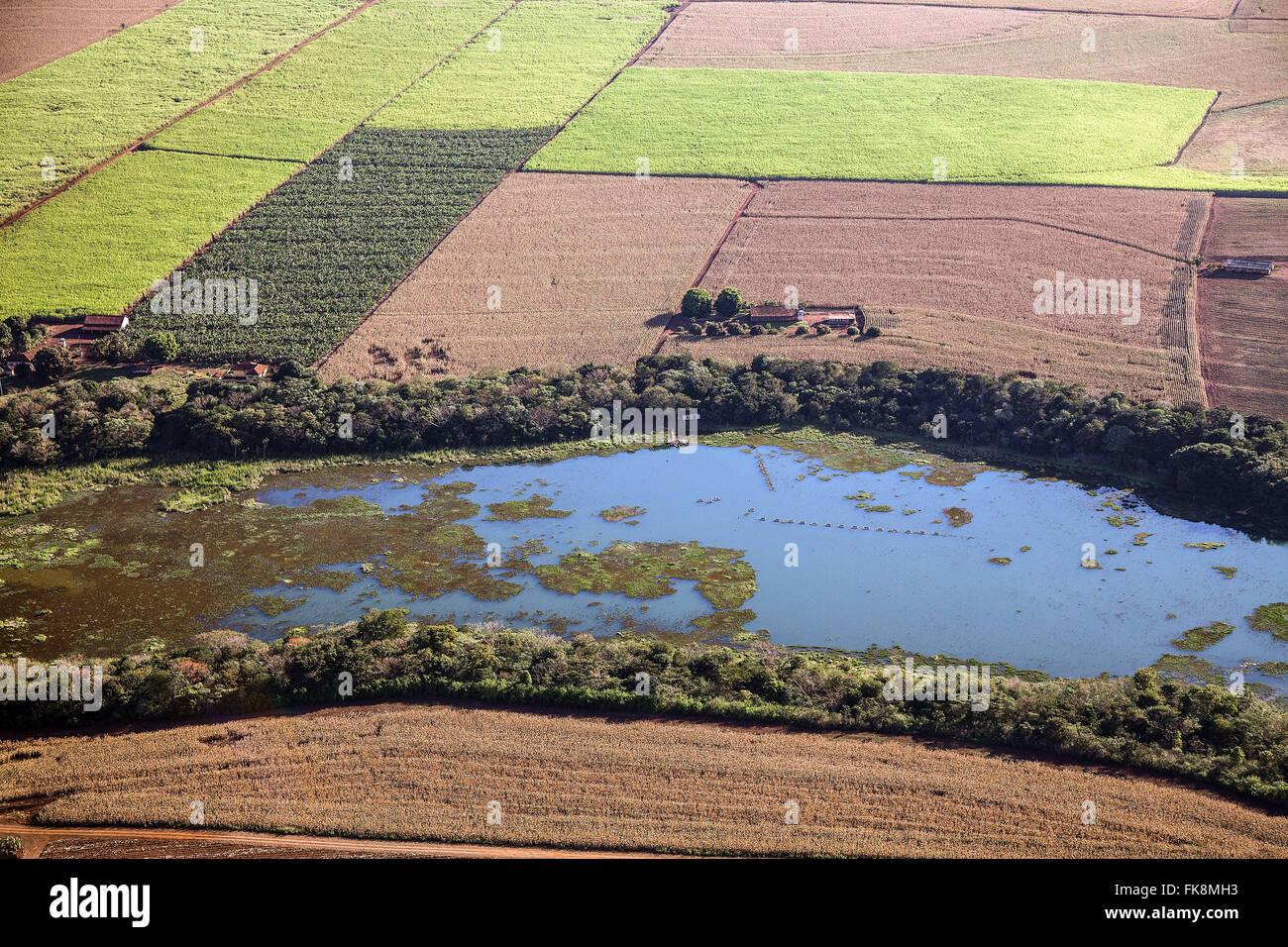 Aerial view of farm with farming and planting corn, wheat, sugar cane Stock Photo