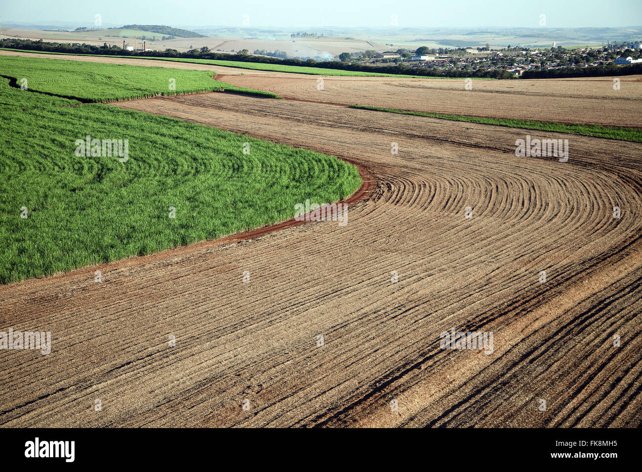 Aerial view of farm with planting corn, wheat and sugar cane Stock Photo