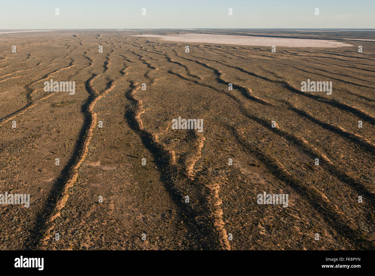 Aerial Simpson Desert Regional Reserve. The many sand dunes of the Simpson Desert very rarely