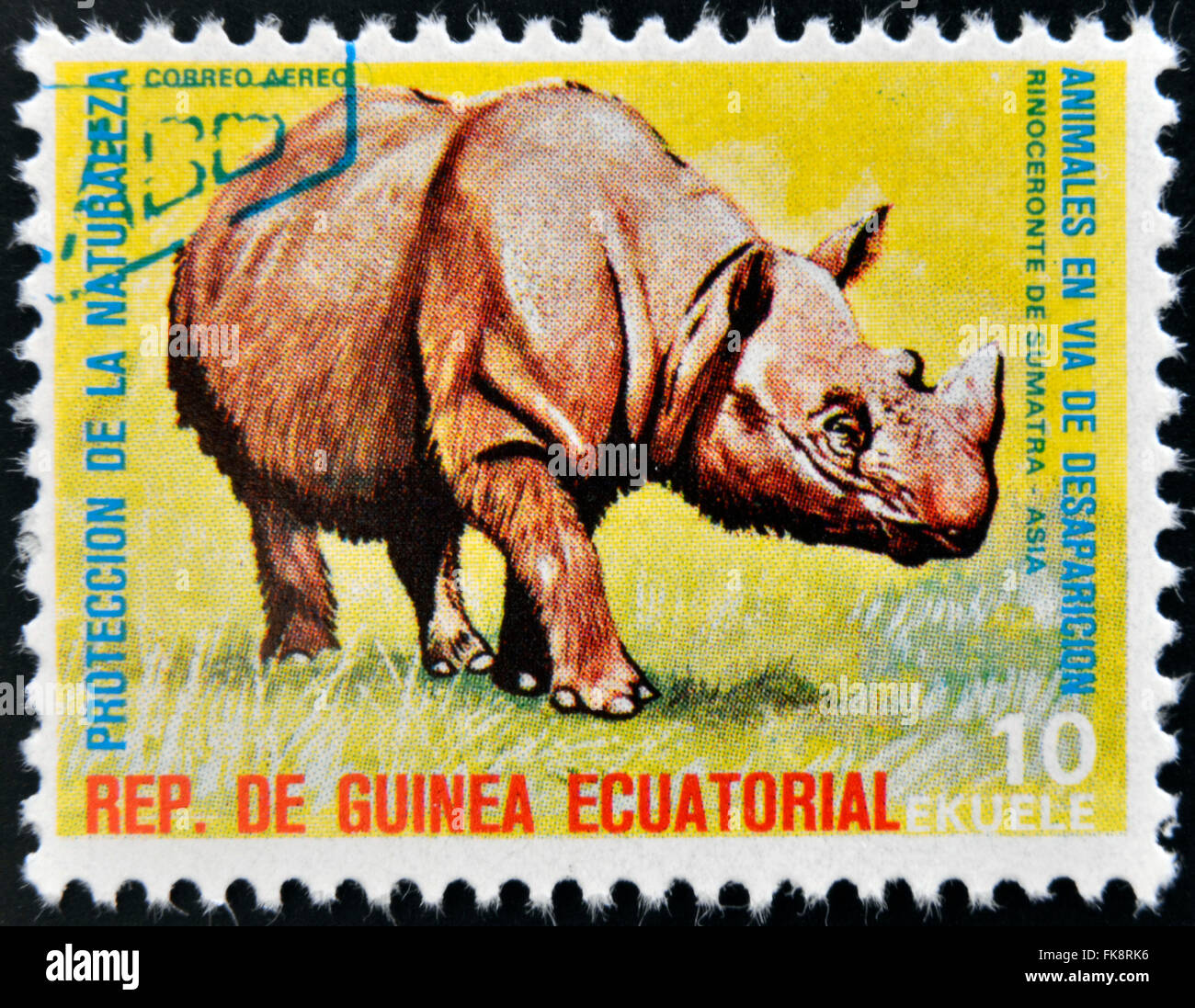 EQUATORIAL GUINEA - CIRCA 1974: Stamp printed in Guinea dedicated to endangered animals, shows Sumatran rhinoceros, Asia Stock Photo
