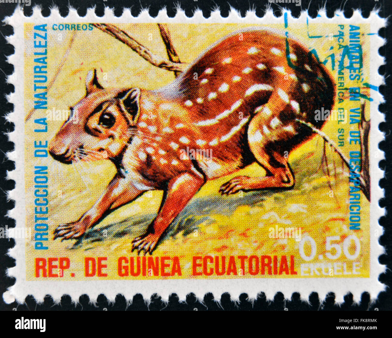 EQUATORIAL GUINEA - CIRCA 1974: Stamp printed in Guinea dedicated to endangered animals, shows Lowland paca, South America Stock Photo