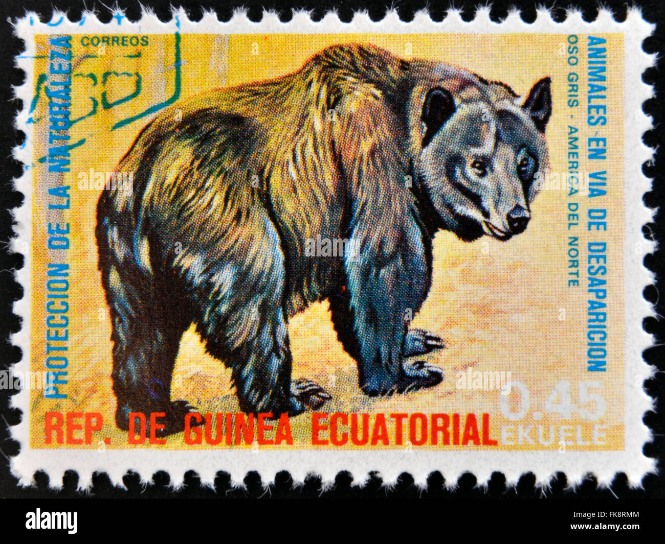EQUATORIAL GUINEA - CIRCA 1974: Stamp printed in Guinea dedicated to endangered animals, shows American black bear Stock Photo