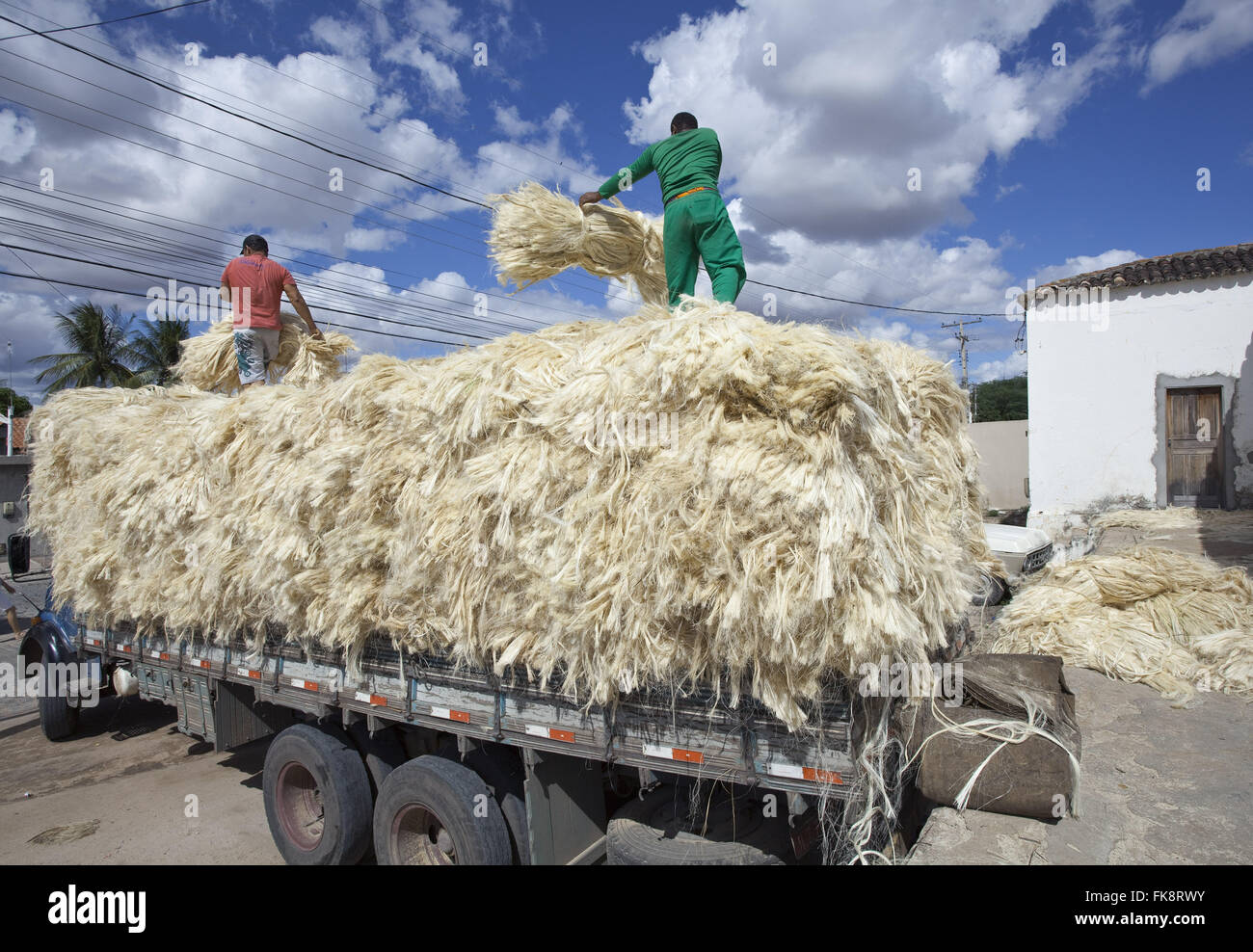 Workers Loading bucket truck with sisal - backlands of Bahia Stock Photo