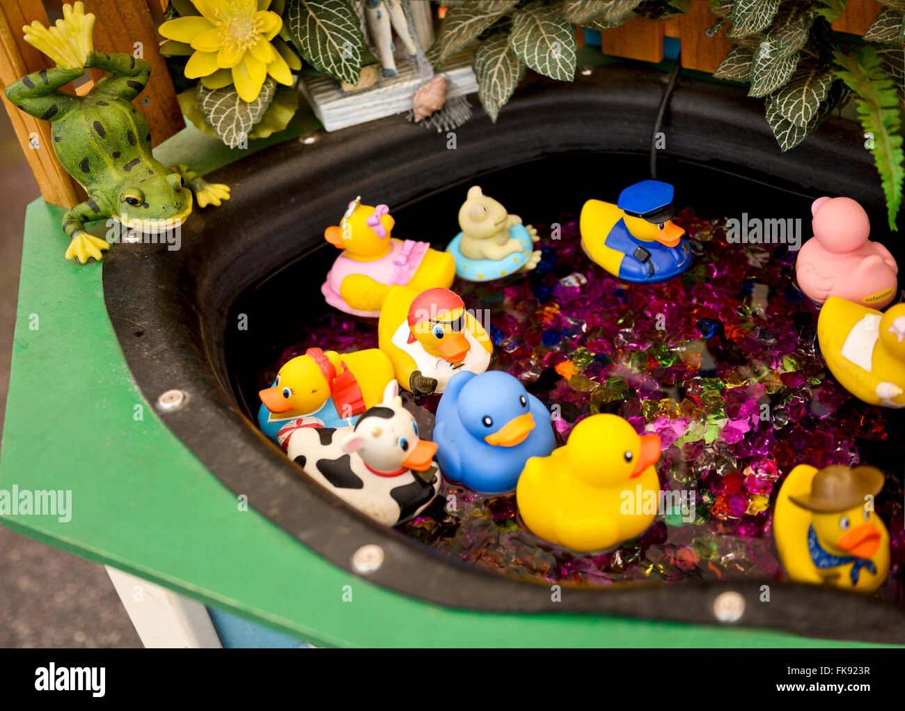 Floating ducks fair hi-res stock photography and images - Alamy