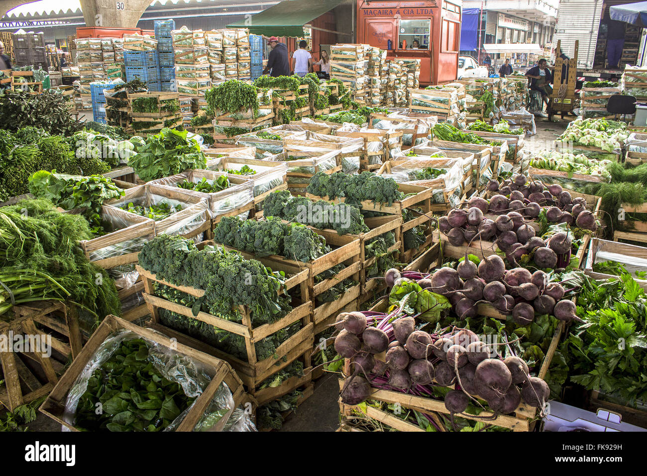 Trade in vegetables in CEAGESP General Warehouses of Sao Paulo Stock Photo Alamy