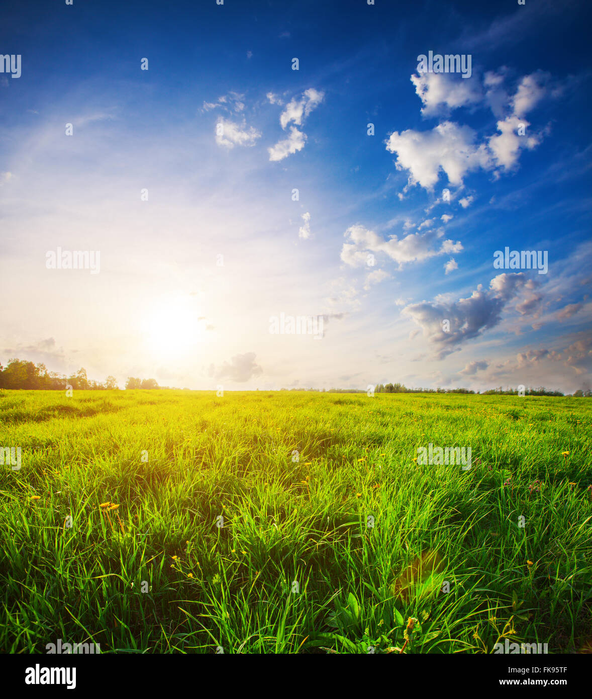 green field and beautiful sunset Stock Photo - Alamy