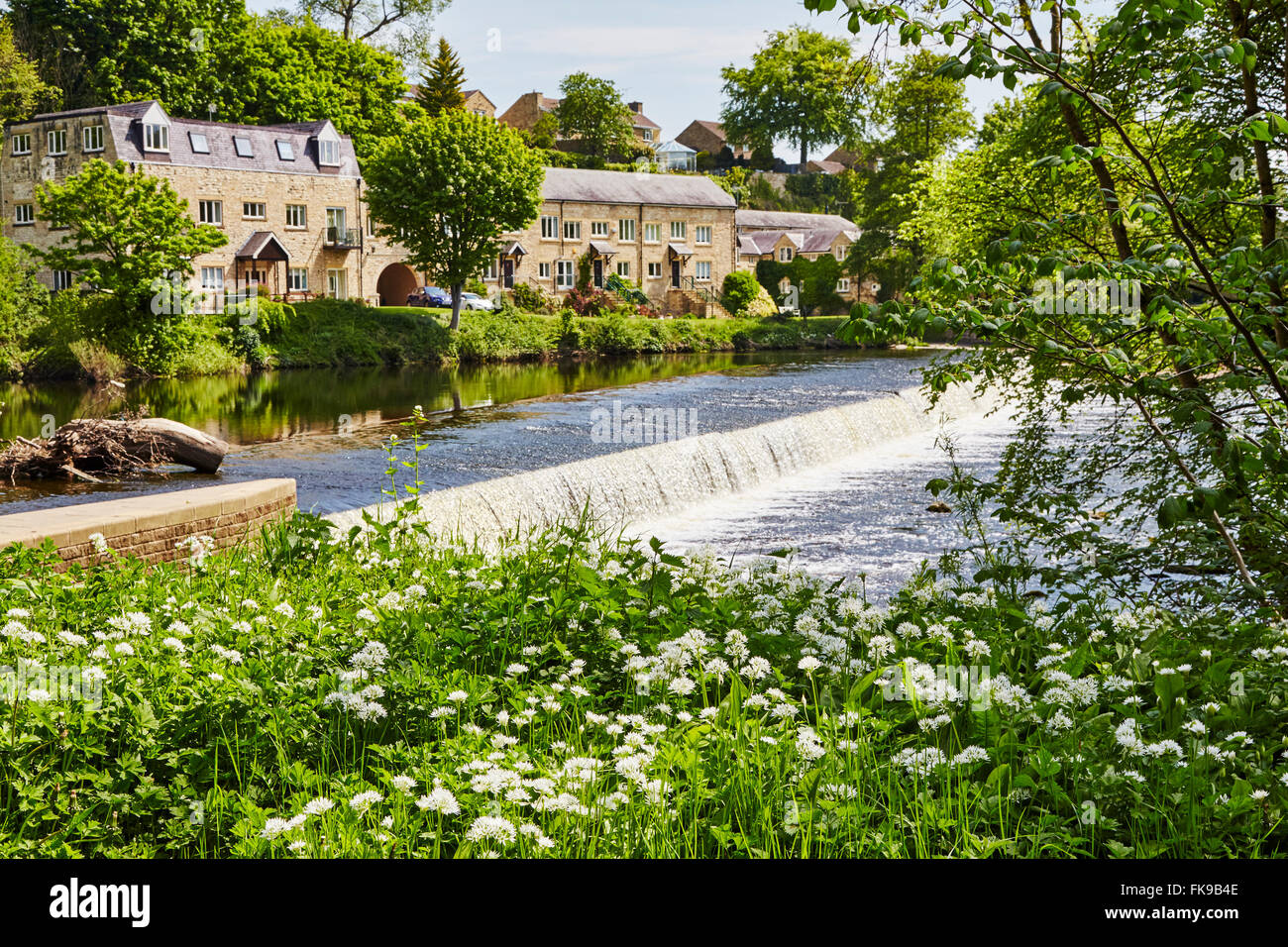 View of the weir on the River Wharfe at Boston Spa, West Yorkshire, England, UK. Stock Photo