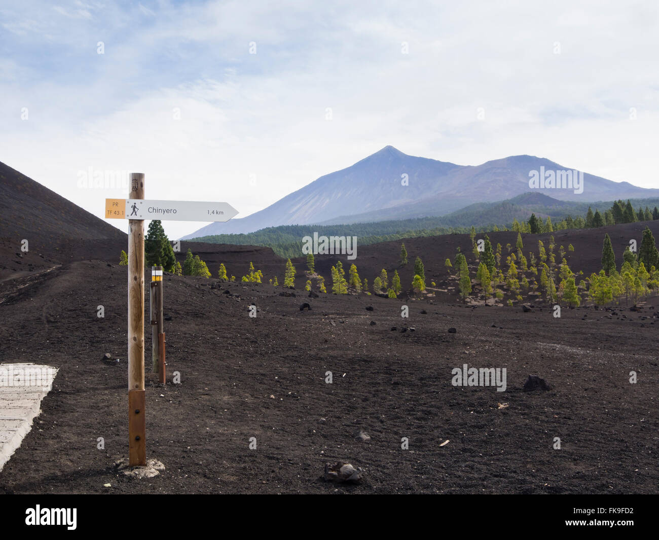 lava rocks, black sand and Canary Island pine, on a hike in Montanas Negras, mount Teide and a signpost for hikers, Tenerife Stock Photo