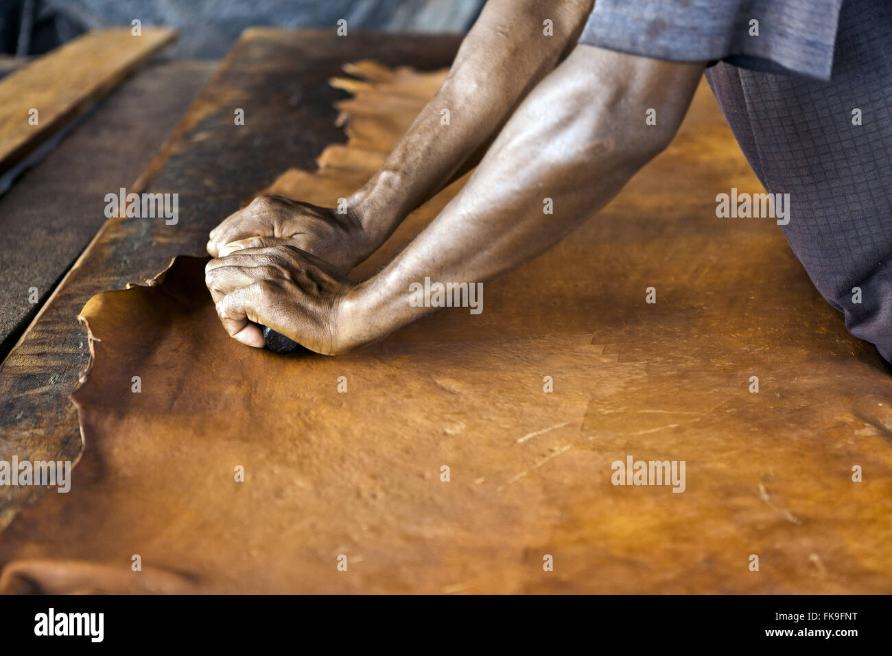 Working with tanning on the island of Marajo Stock Photo