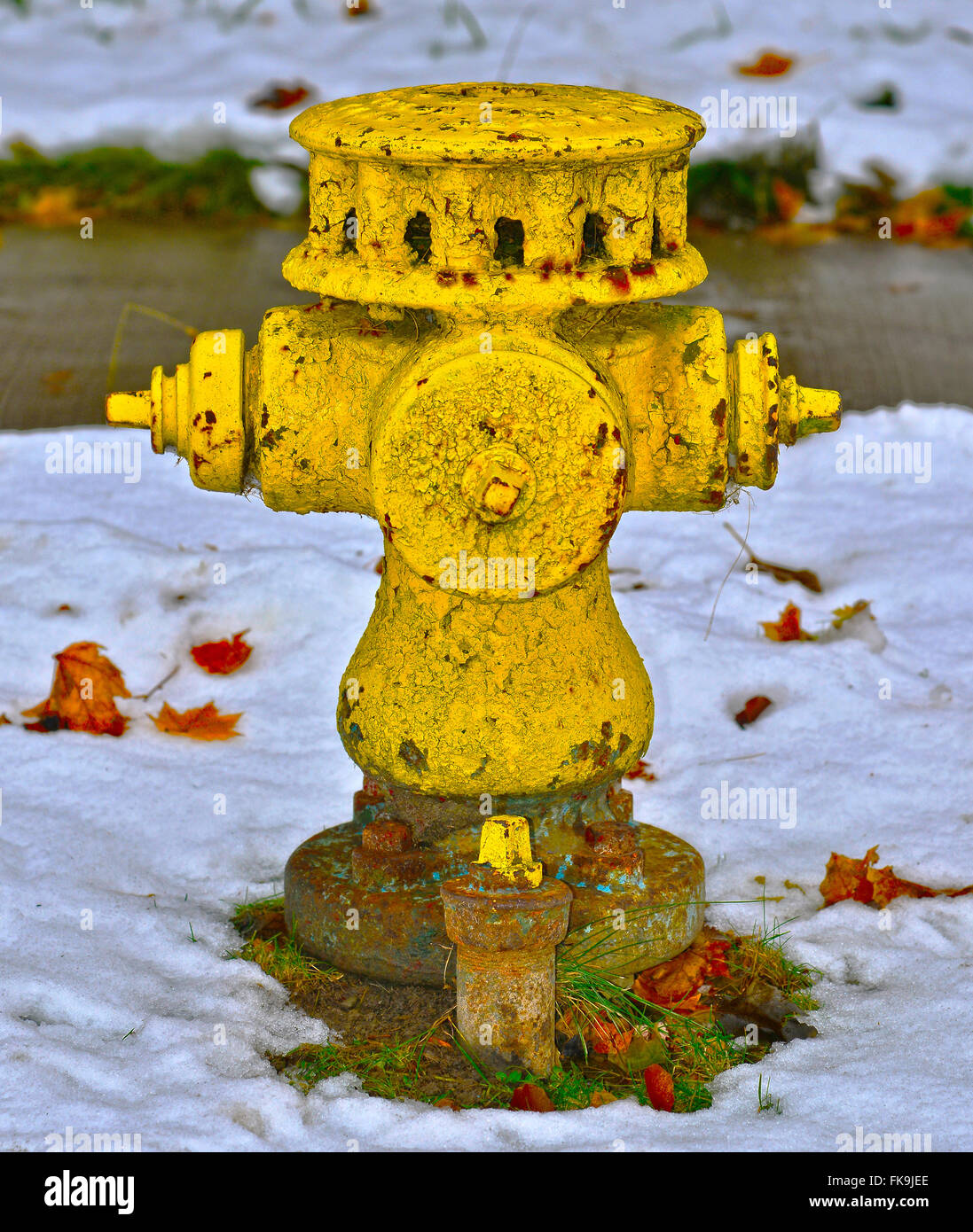 Fire Plugs- Fire Hydrants Stock Photo - Alamy