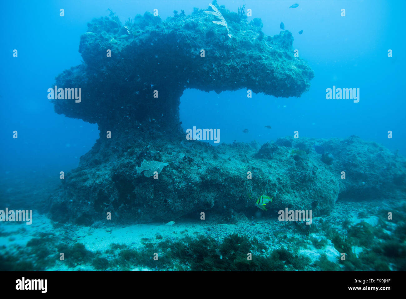 Underwater rock formation hi-res stock photography and images - Alamy
